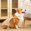 Ein orange-weißes Hund sitzt auf einer Holzoberfläche und trägt ein gelbes Halsband.
