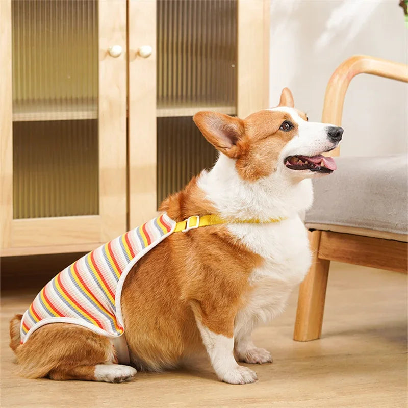 Ein orange-weißes Hund sitzt auf einer Holzoberfläche und trägt ein gelbes Halsband.