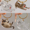 A collection of transparent and solid cat charms used as keychains, featuring various feline poses.