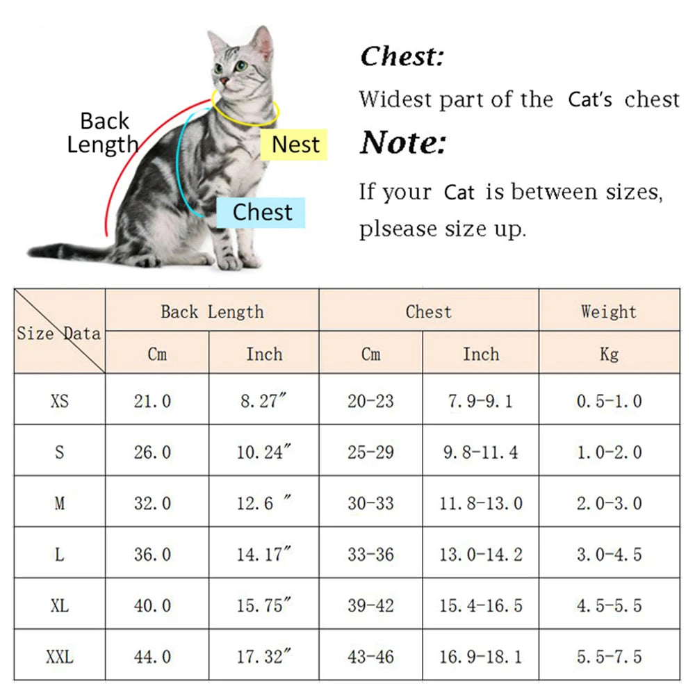 Diagramm mit Maßen für einen Katzenpullover: Rückenlänge, Brust und Gewicht in cm, Zoll und kg