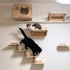 Natural wooden cat wall shelves and climbing perches mounted on a white wall.
