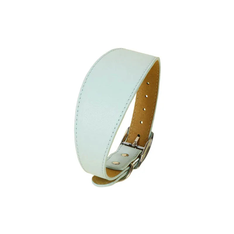 Light blue wide leather dog collar with a silver buckle and tan leather backing