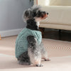 A small, fluffy dog wearing a light teal fleece sweater sitting on a beige rug.