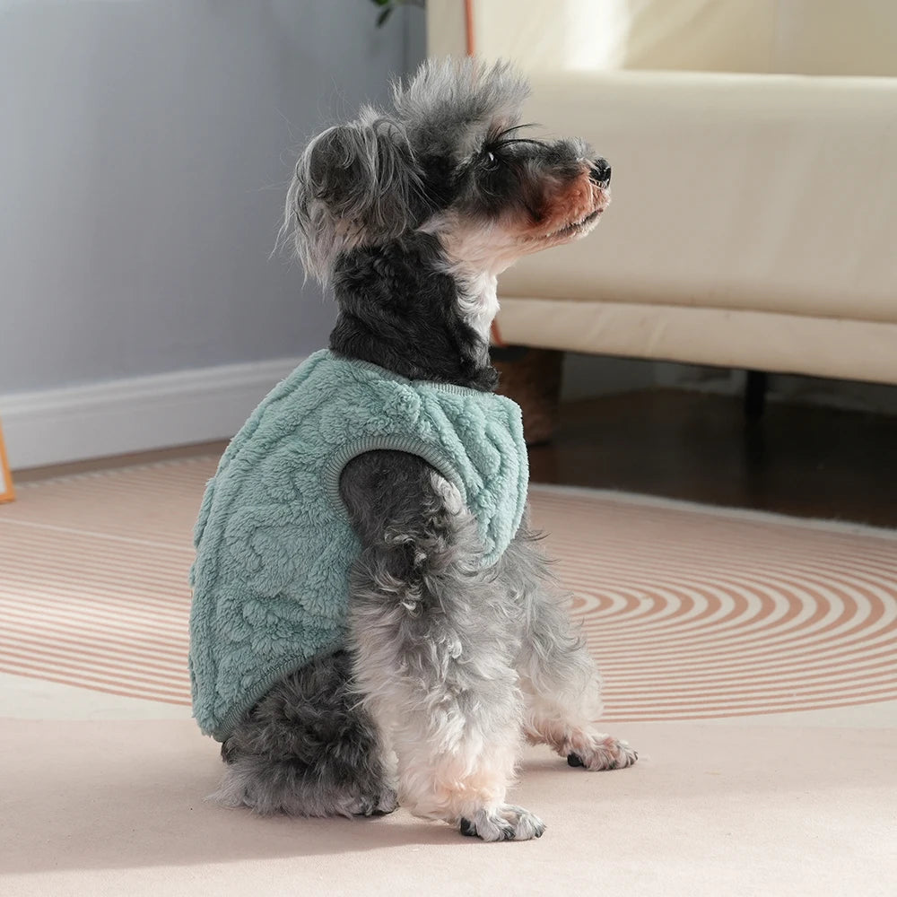 A small, fluffy dog wearing a light teal fleece sweater sitting on a beige rug.