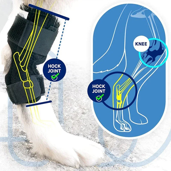 A black knee pad with yellow support wires is shown on a dog's leg, illustrating joint support for the knee.