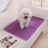 A fluffy white dog sits on a purple reusable washable pet training mat placed on a white sofa.