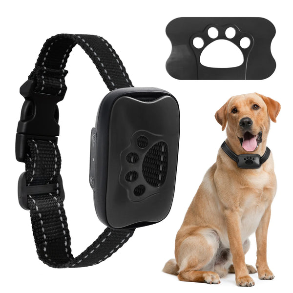 A black USB rechargeable dog bark collar is shown next to a golden retriever.