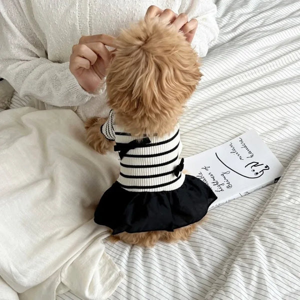 A fluffy dog wearing a black and white striped dress with a bow collar and flying sleeves, lying on a white sheet.