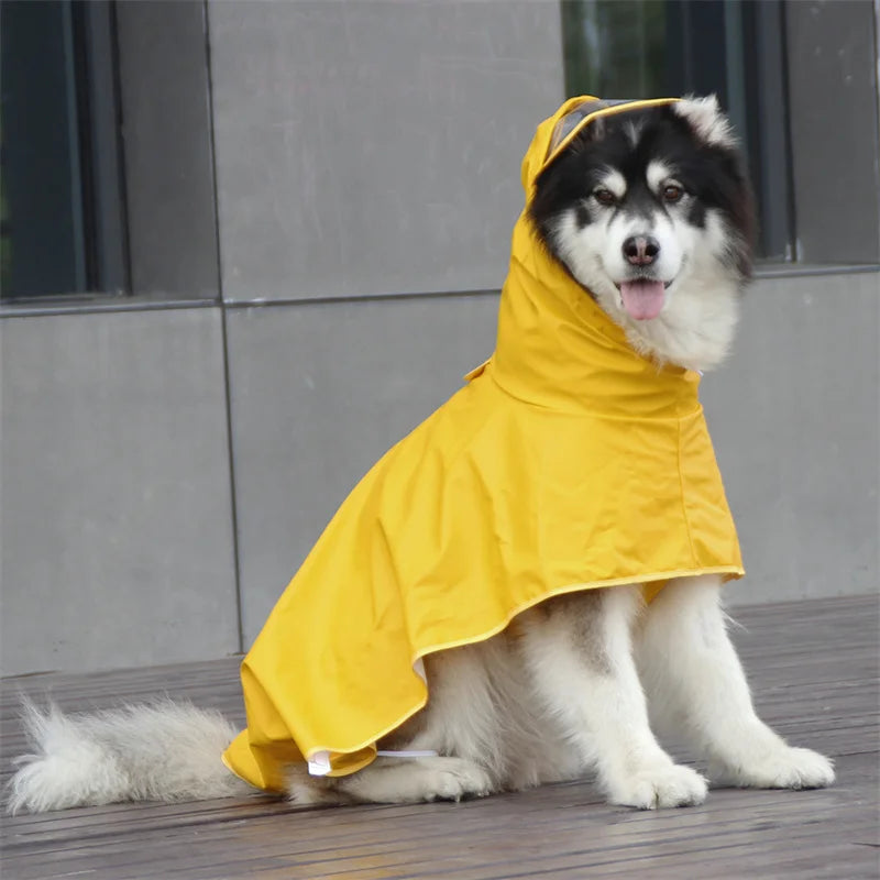 A fluffy dog wearing a bright yellow waterproof raincoat outdoors.