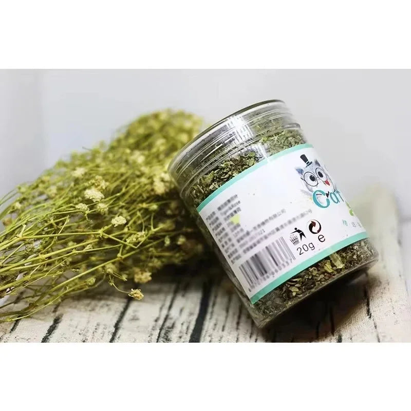 A glass jar filled with dried green catnip and mint grass for feline relaxation.