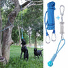 A blue dog spring pole toy with a cotton rope and metal hook is shown next to a black dog in a grassy outdoor setting.