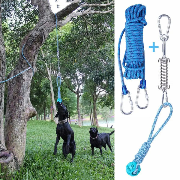 A blue dog spring pole toy with a cotton rope and metal hook is shown next to a black dog in a grassy outdoor setting.