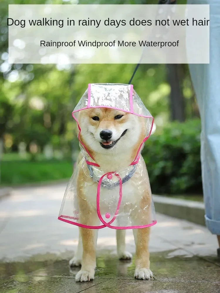 Un chien doré portant un imperméable transparent avec des bordures roses, marchant dehors sous la pluie.