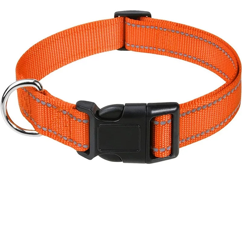 Orange nylon dog collar with a black buckle and silver ring.