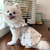 Ein flauschiger weißer Hund in einem Sommer-Herzmuster-Kleid sitzt auf einem Holztablett.