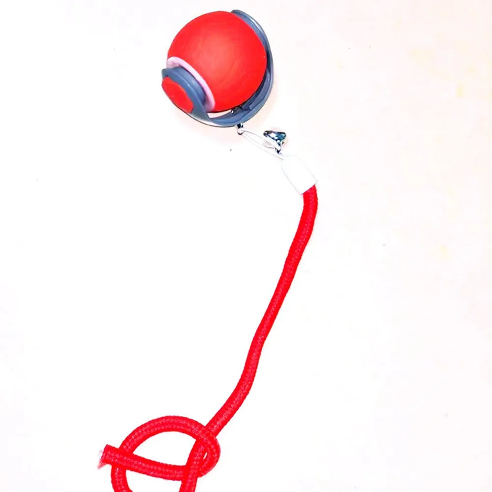 A red and blue automatic training ball with a string attached for cat and dog training.
