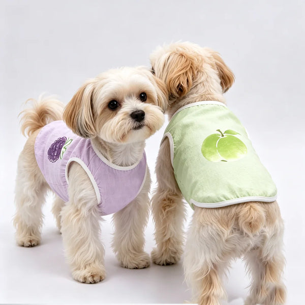 Two light-colored dogs wearing green and purple breathable fruit vests.