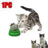 A tabby kitten playing with a green edible catnip licking ball and a small black and white cat.