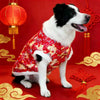 A black and white dog wearing a red traditional Chinese pattern hoodie against a red background.