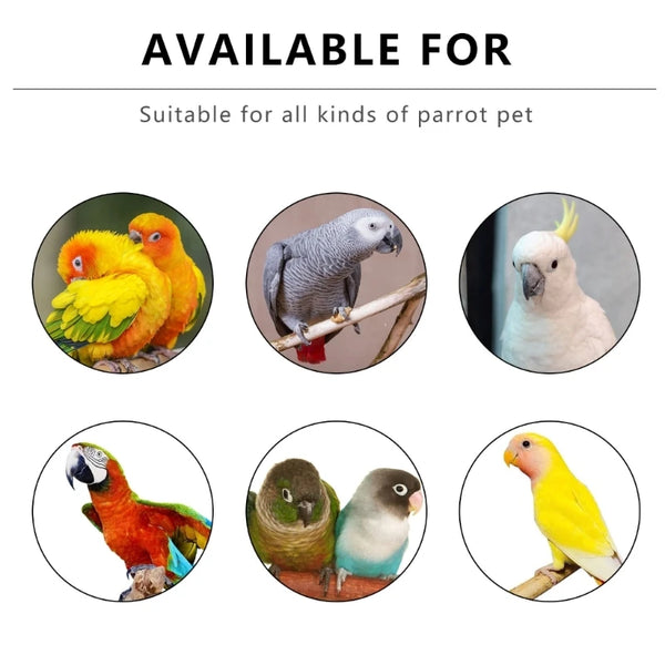 An assortment of colorful parrots, including yellow, orange, and grey species, are shown in various poses on a wooden perch s