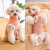 A light-colored poodle wearing an orange and white striped cotton recovery suit for dogs.