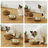 Four images showing a cat eating dry food from stainless steel pet feeding bowls on a wooden floor.
