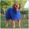 A happy, light brown dog wearing a royal blue quick-dry microfiber dog robe outdoors.