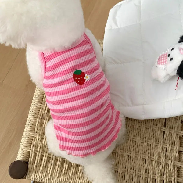 A white fluffy dog wearing a pink and white striped vest with a red strawberry print, sitting on a woven mat.