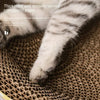 A striped cat paw is visible on a brown, textured scratching post material.