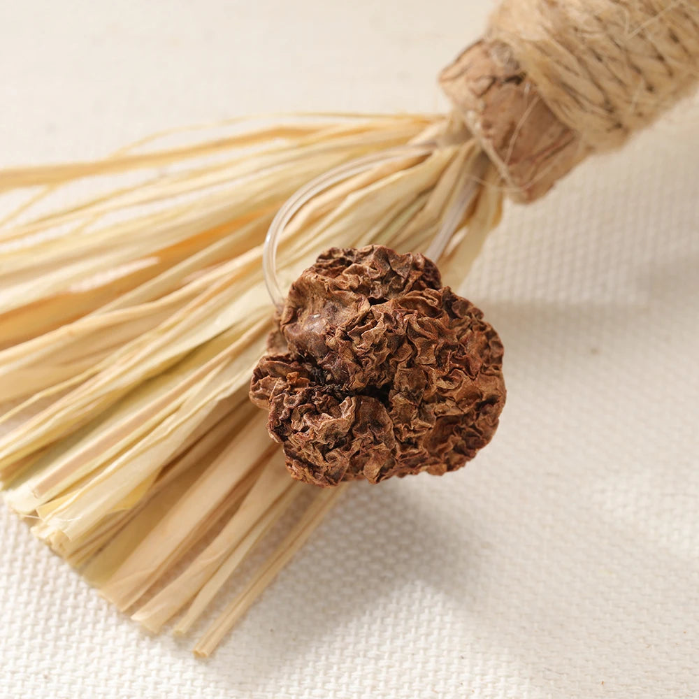 A bundle of natural silvervine cat chews and dental health toys tied with twine.