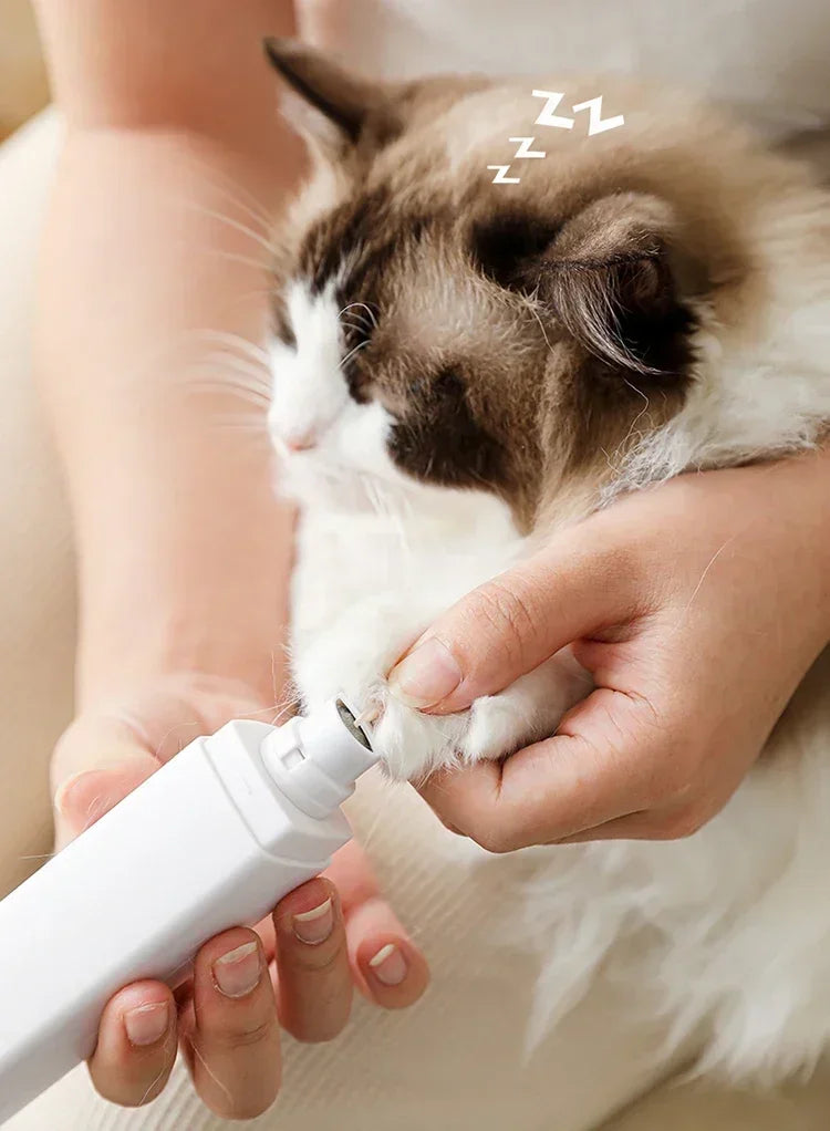 A person is using a white pet nail grinder on a cat's paw while it is sleeping.