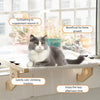 Graue und weiße Katze entspannt auf einem Holzsims, mit Text zur Hervorhebung von Vitamin D, Knochenwachstum und Klettern