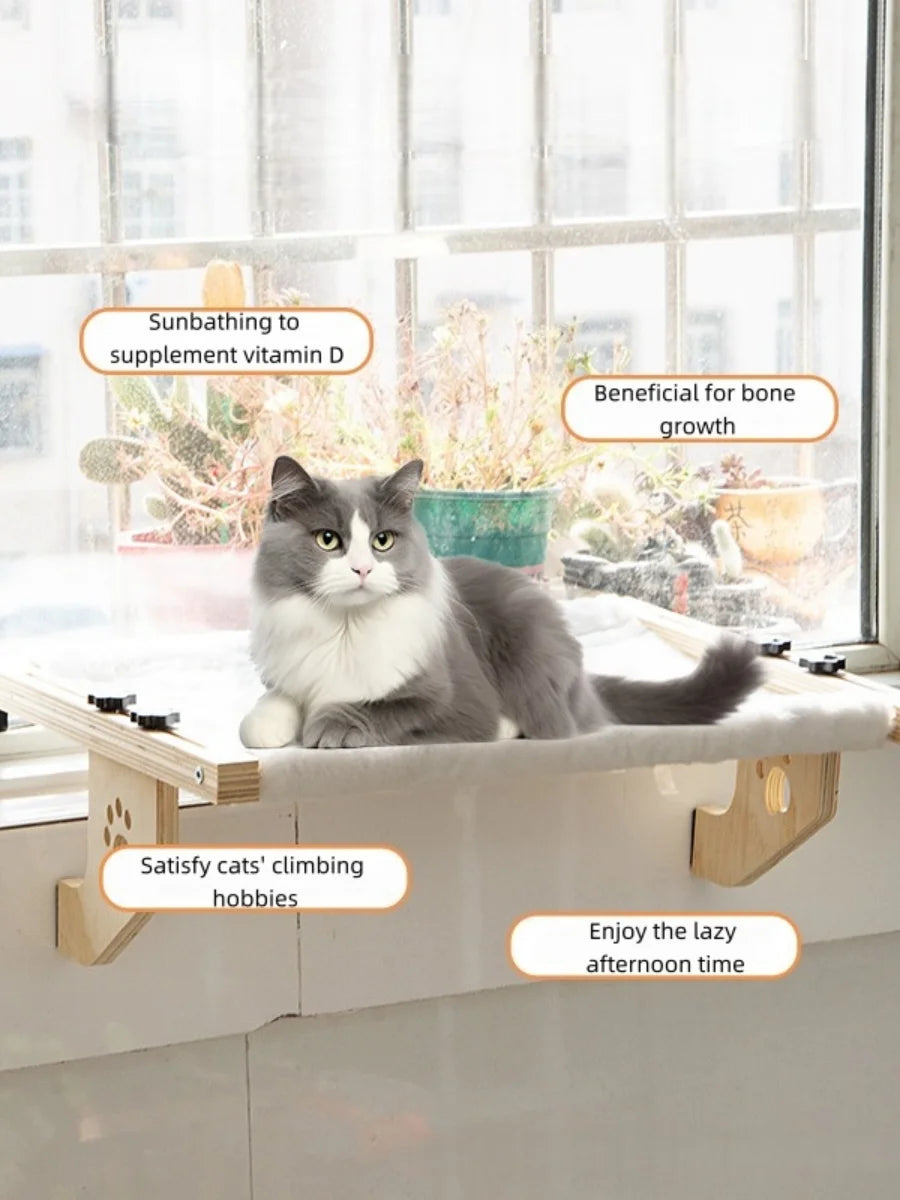Graue und weiße Katze entspannt auf einem Holzsims, mit Text zur Hervorhebung von Vitamin D, Knochenwachstum und Klettern