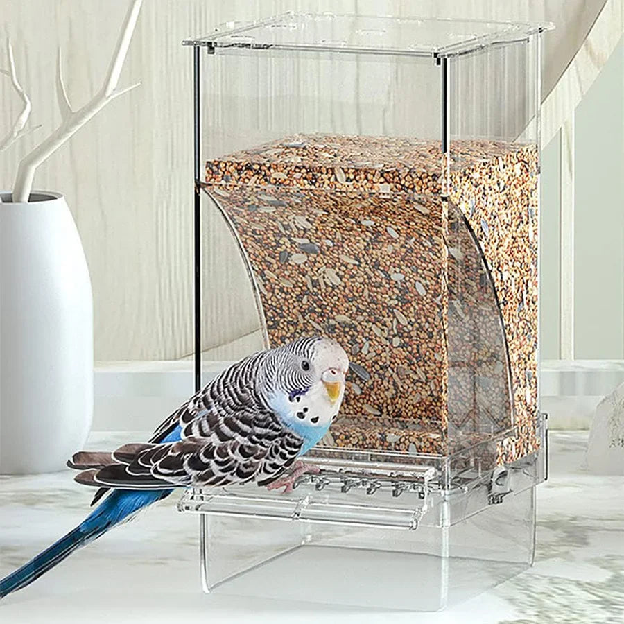 Un petit perroquet gris africain se nourrit d'un distributeur automatique de nourriture pour oiseaux rempli de graines.