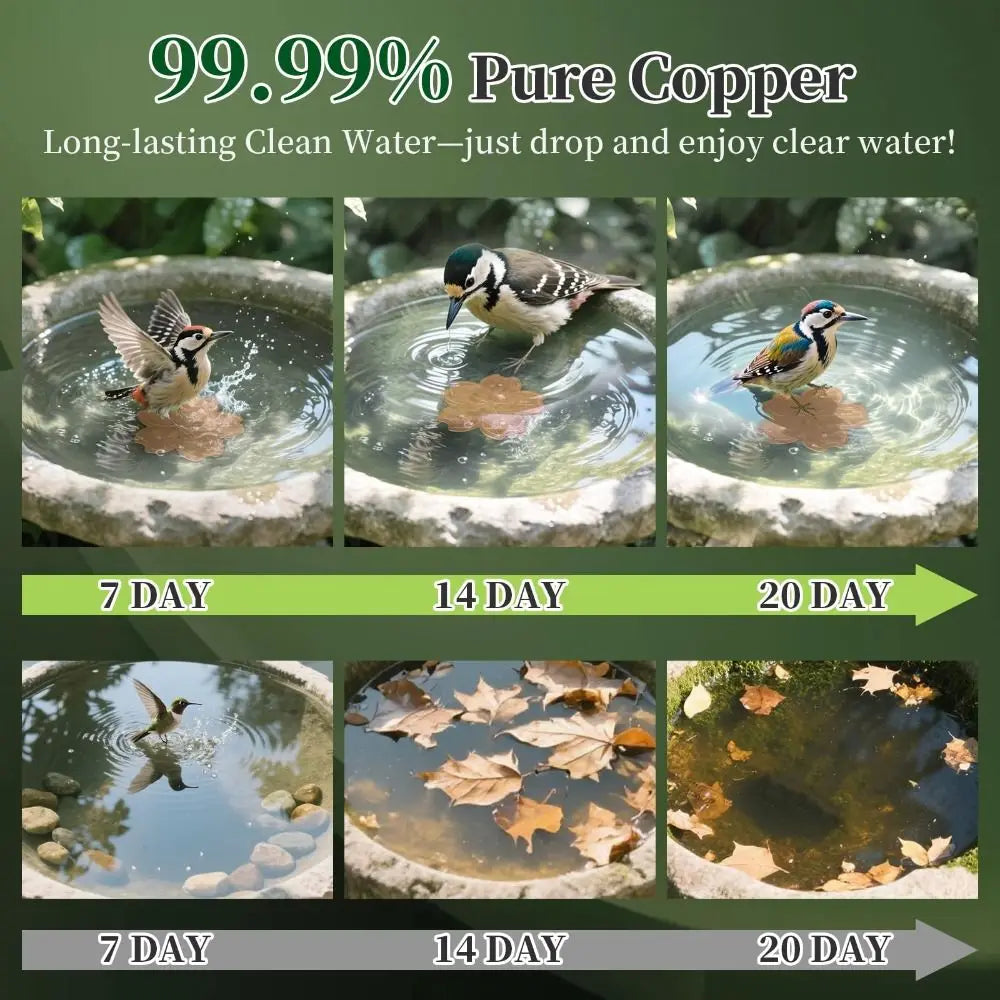 Un ensemble de disques pour bain d'oiseaux en cuivre démontrant une eau propre et durable sur 7, 14 et 20 jours.