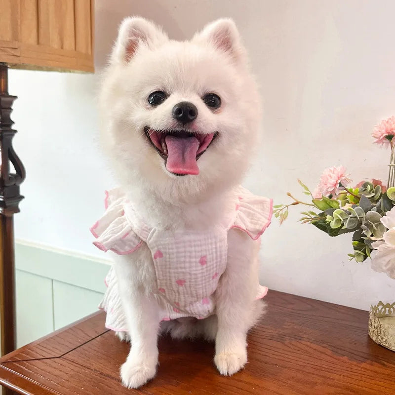 A fluffy white dog wearing a pink cotton dress with a heart print, sitting on a wooden surface.