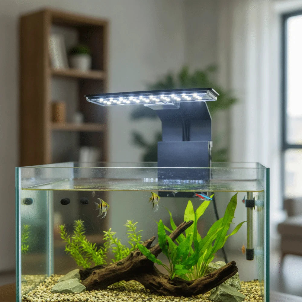 Wasserfeste Mehrfarb-LED-Aquarienfixierleuchte beleuchtet Wasserpflanzen in einem Glasbecken.