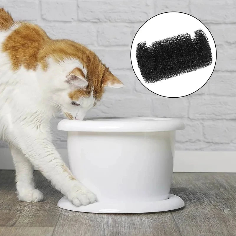 A white cat is looking at a white pet water fountain, with an inset showing black sponge replacement filters.