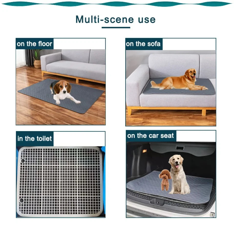 Reusable washable pet training mat shown in various uses on the floor, sofa, toilet, and car seat.