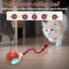 A red training ball is shown on a wooden floor, with a cat looking toward it.