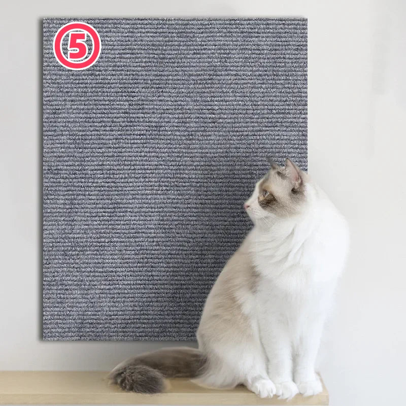 Eine weiße und graue Katze sitzt auf einer Holzoberfläche vor einer grauen Anti-Rutschmatte mit der Ziffer 5.