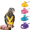 A hand holds a small parrot bird harness and leash set with various colored fabric options.