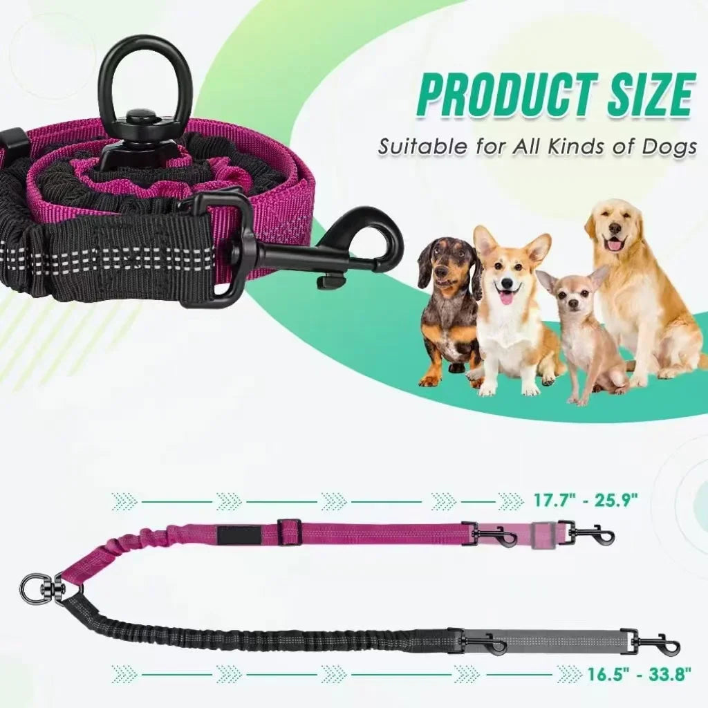 A purple and black dual dog leash attachment with a bungee shock absorber is shown alongside its various sizes.