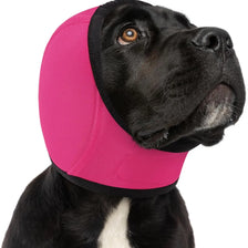 A black dog wearing a bright pink durable ear muff for noise reduction and anxiety relief.