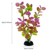 Une plante aux feuilles roses et vertes vibrantes poussant dans un pot noir.