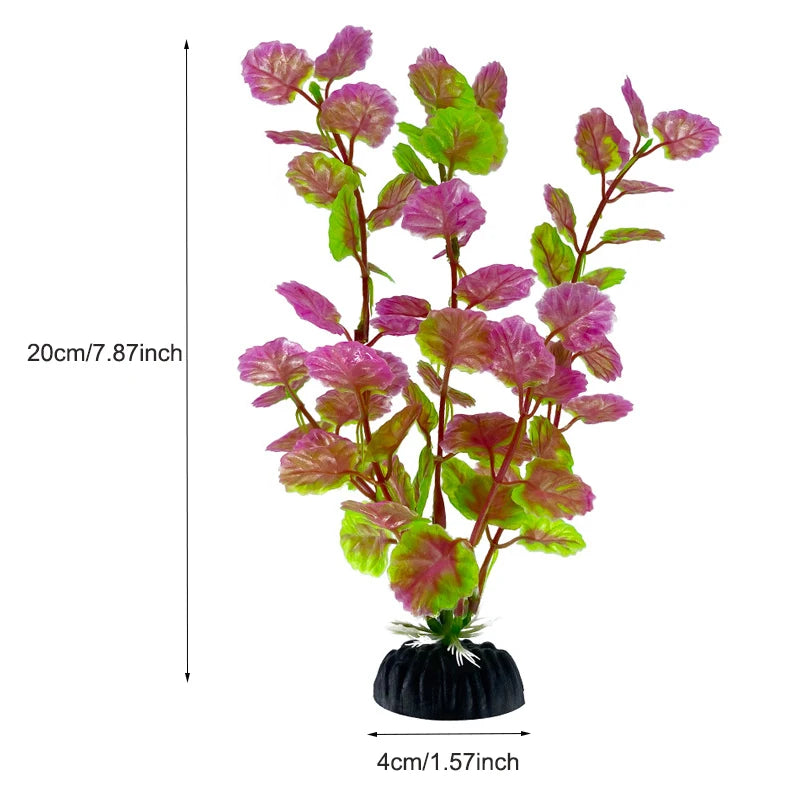 Une plante aux feuilles roses et vertes vibrantes poussant dans un pot noir.