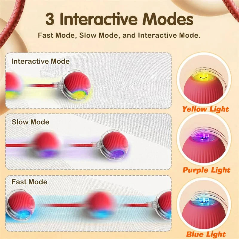 Three modes of an interactive rolling cat toy ball: Fast, Slow, and Interactive modes with corresponding light colors.