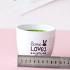Weiße Keramikschale gefüllt mit grünem Moos, mit dem Text 'Some Loves you' und einem Hasenmotiv.