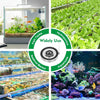A collection of images showing fish tanks, hydroponics setups, and marine aquariums.