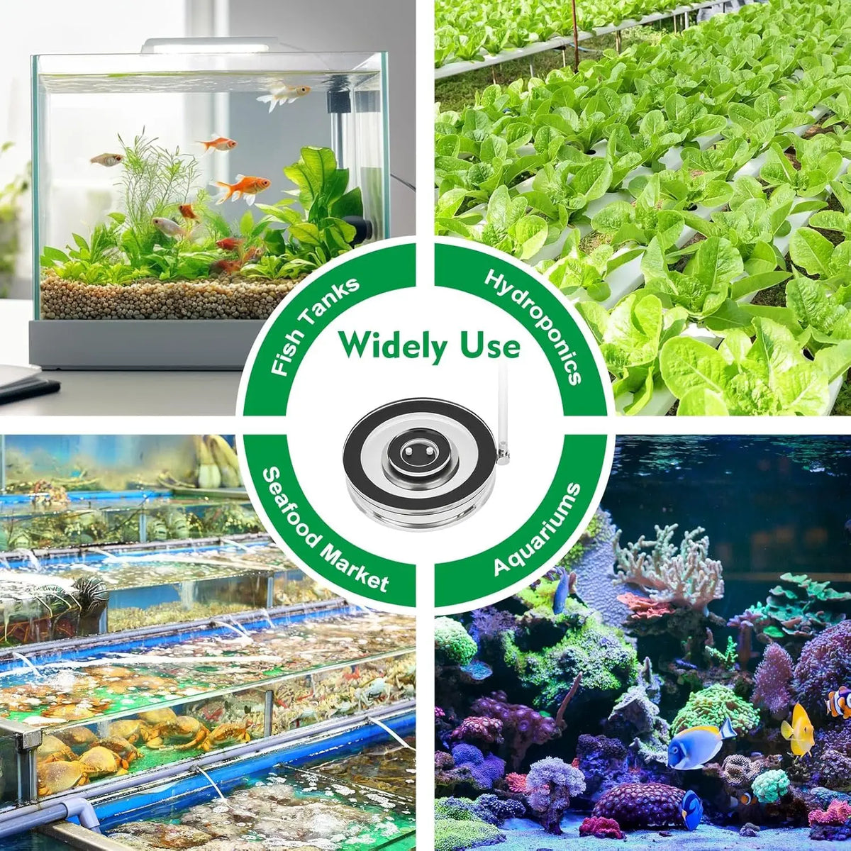 A collection of images showing fish tanks, hydroponics setups, and marine aquariums.